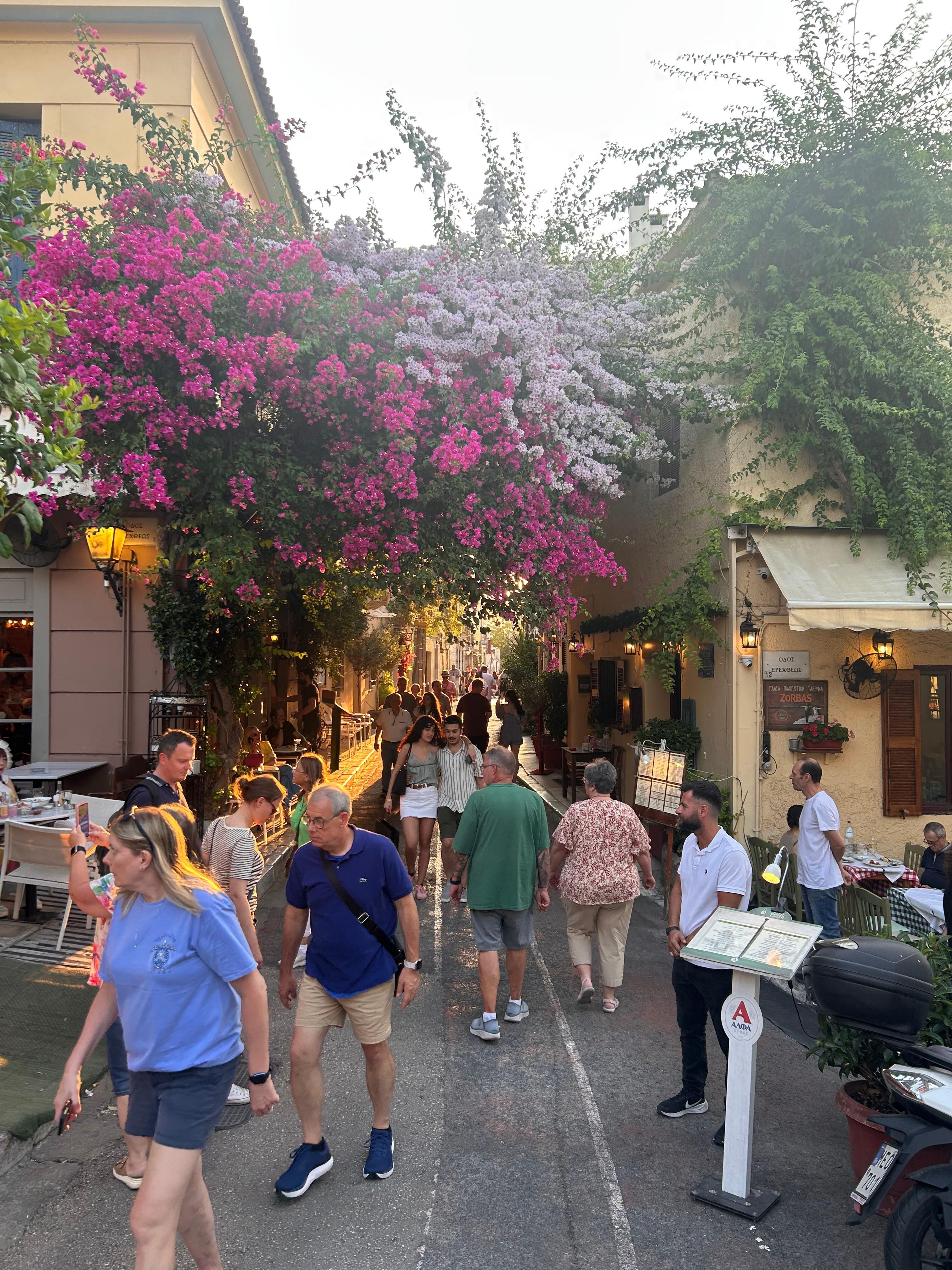 Beautiful walkable, safe area to stroll. 