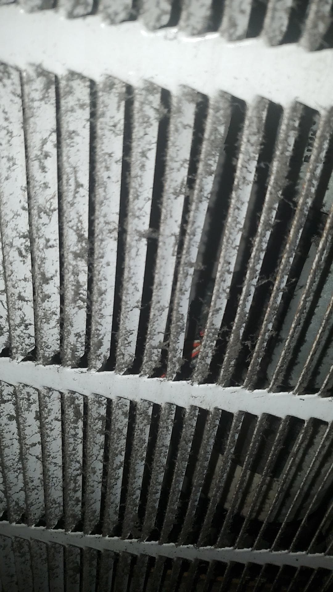 This is the air filter