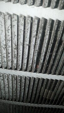 This is the air filter