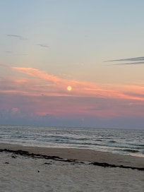 Full moon