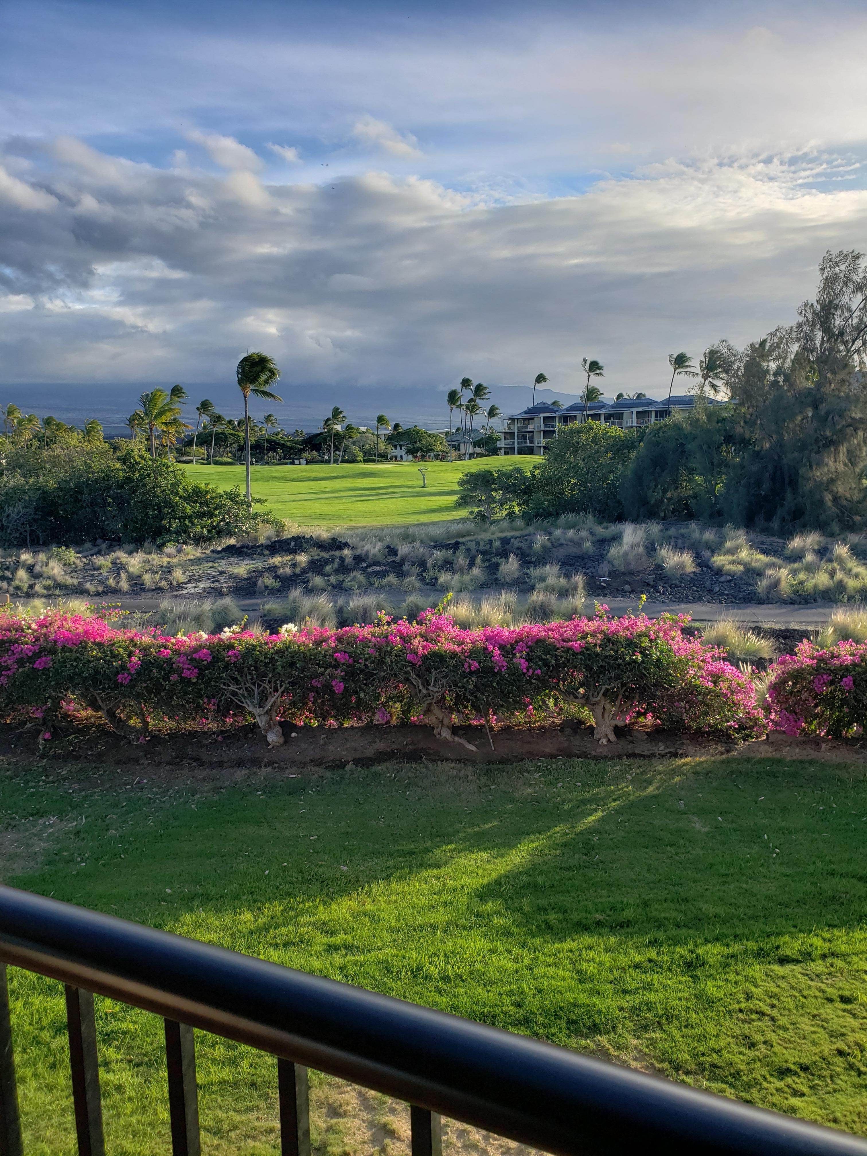 View from the balcony