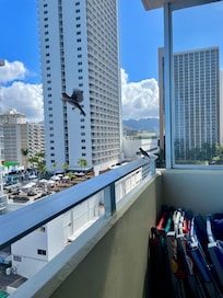 View looking back toward the mountains