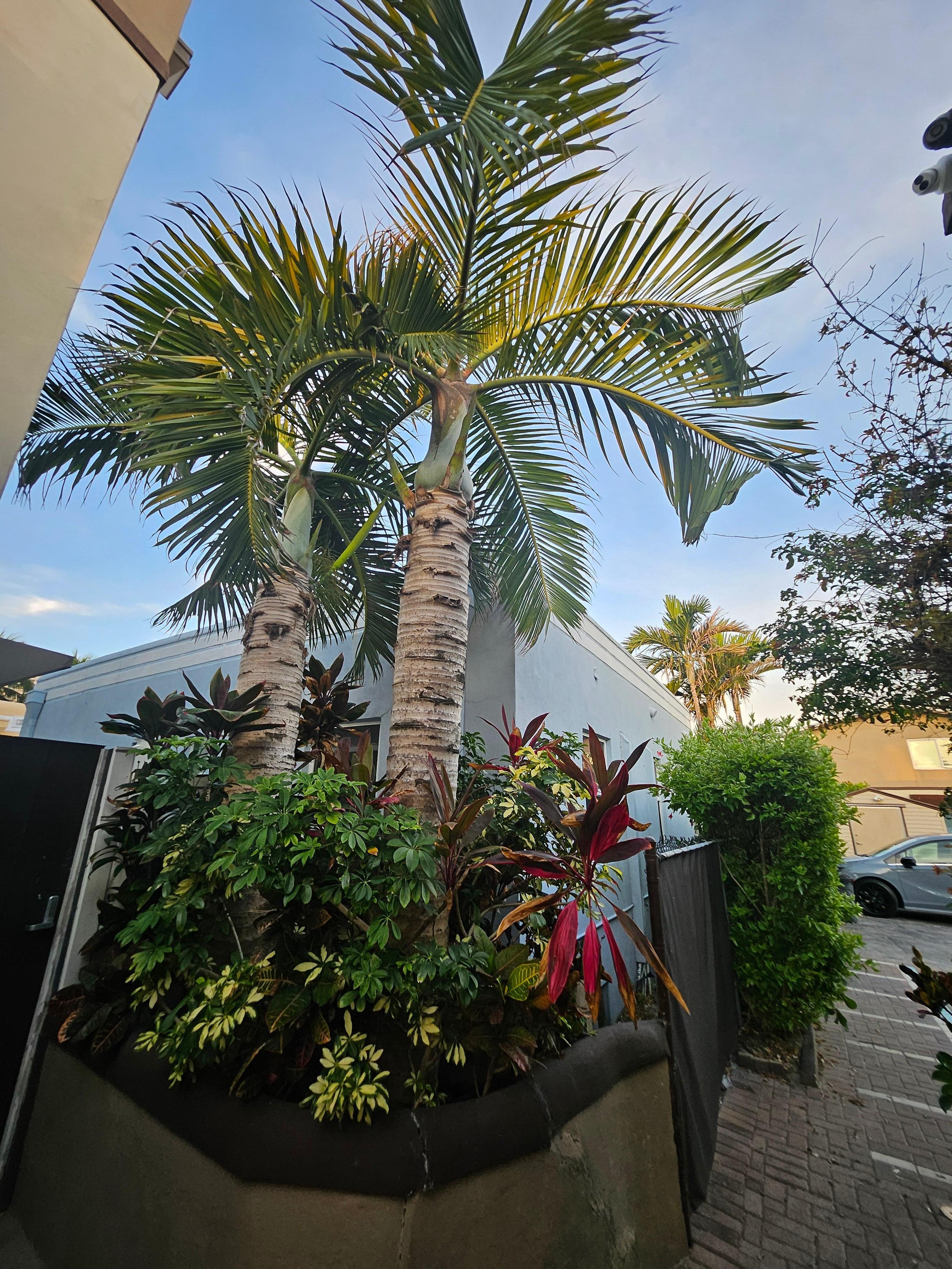On the property 