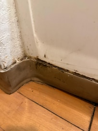 The bathroom lining to the shower/tub and bugs