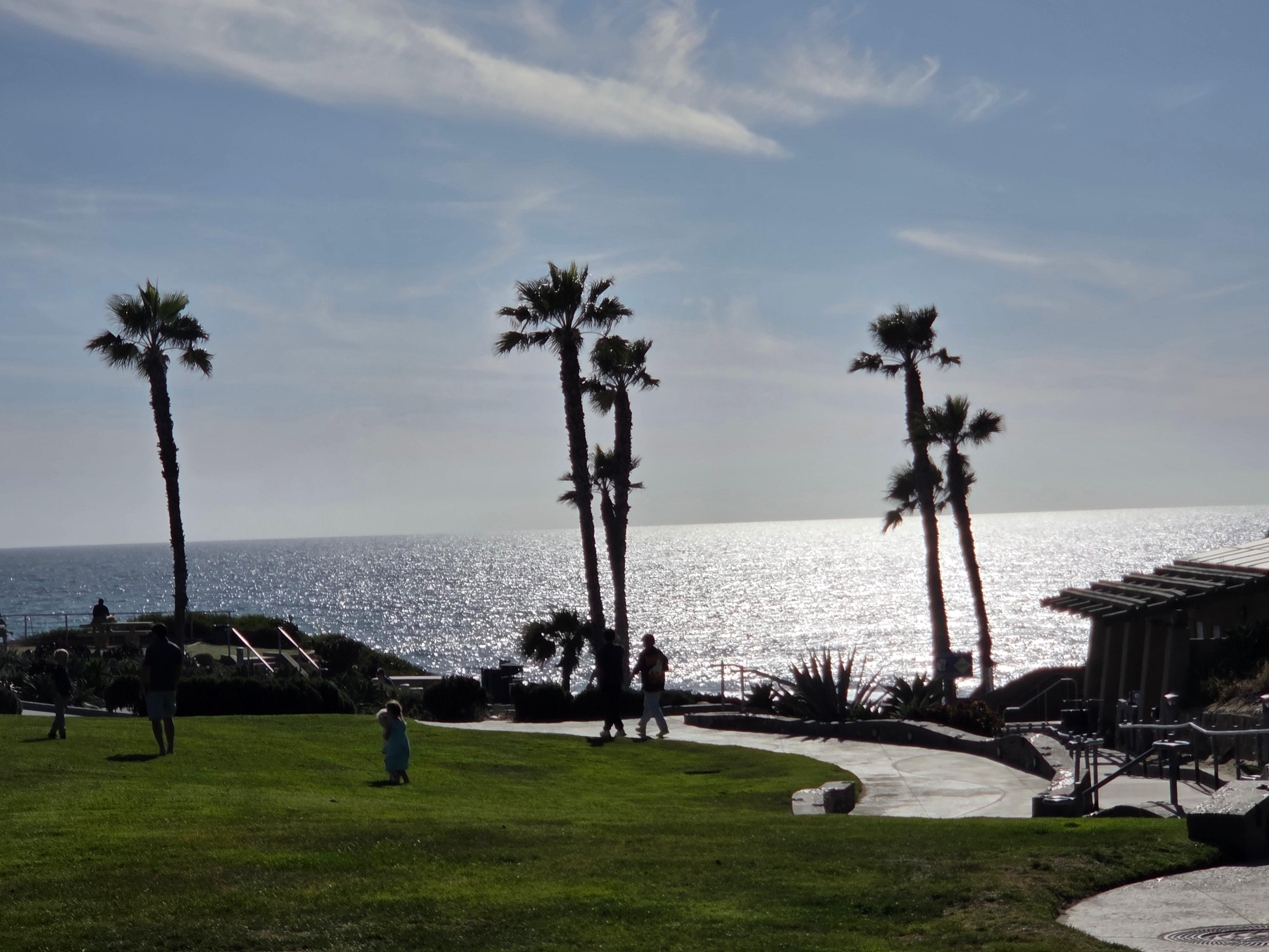 View every day driving by Fletcher’s Cove.