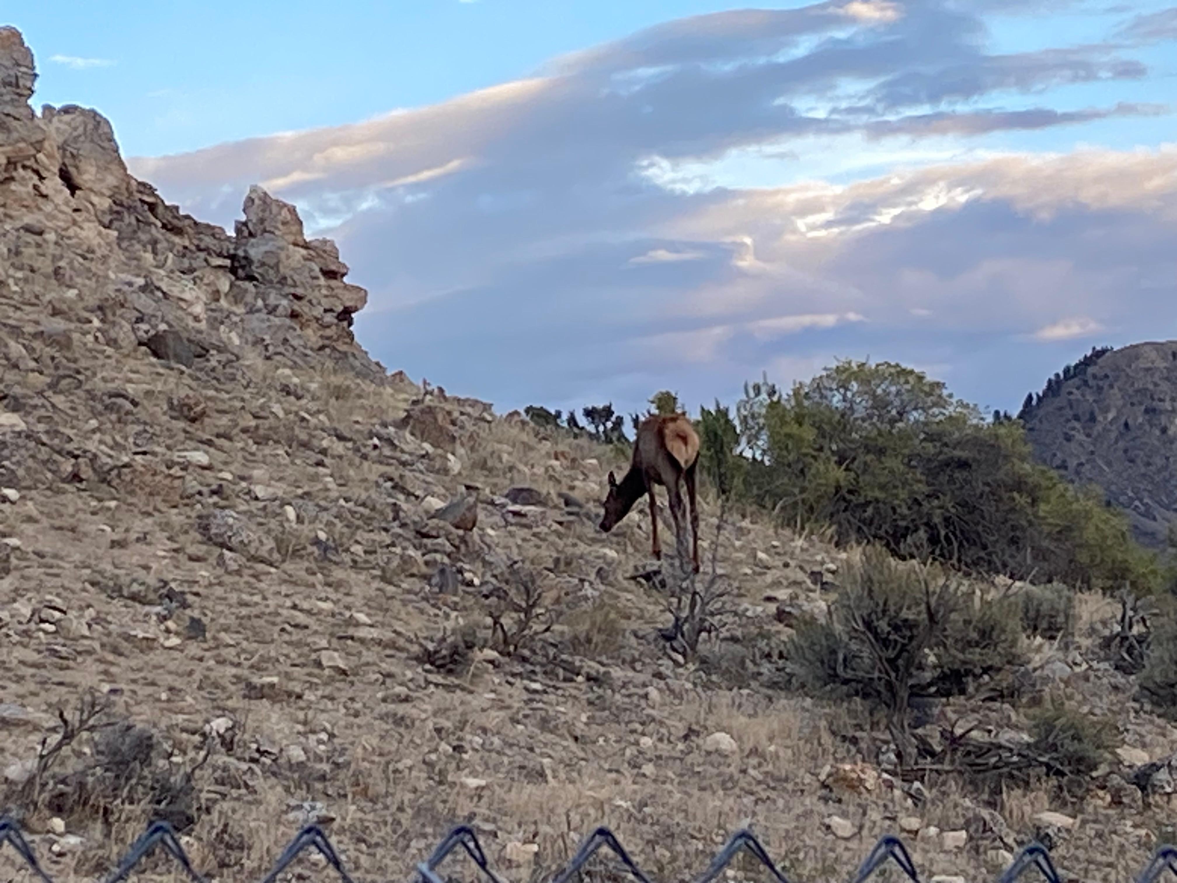 View & sunset from cabin.