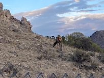 View & sunset from cabin.