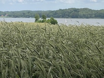 Blick auf die Schlei