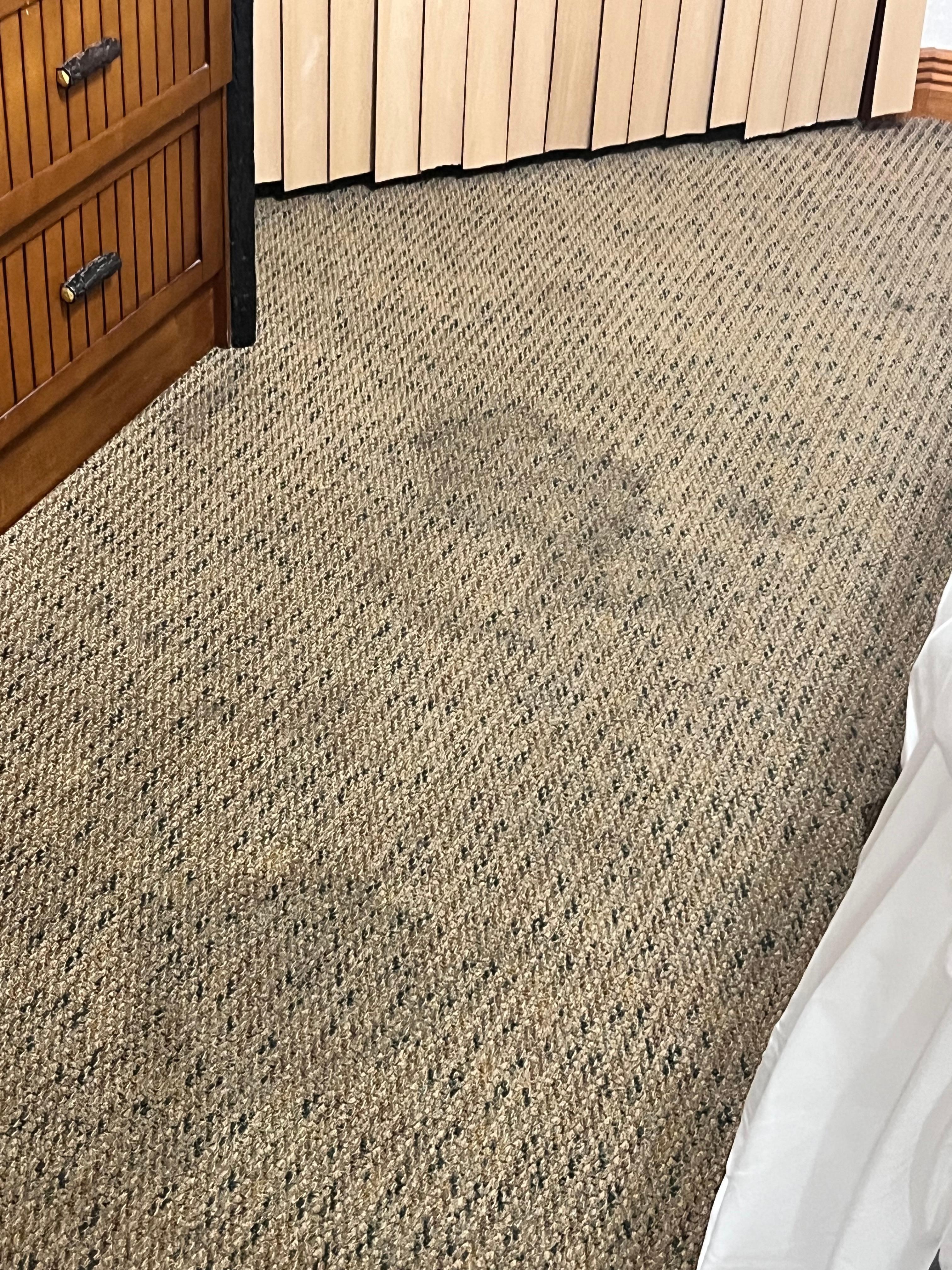 Nasty nasty carpet