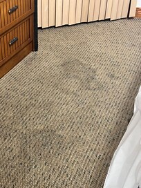 Nasty nasty carpet