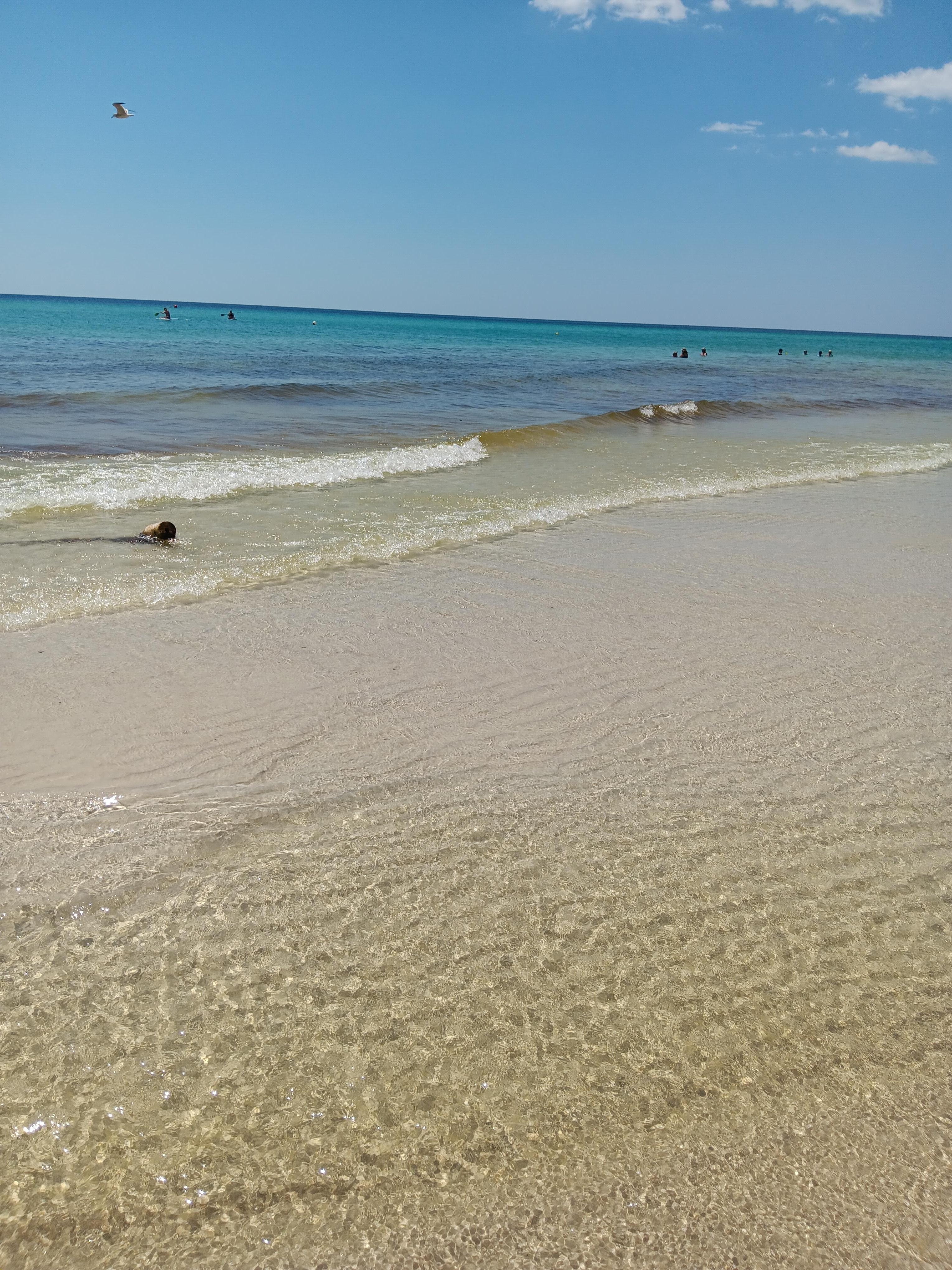 Quiet and uncrowded beach