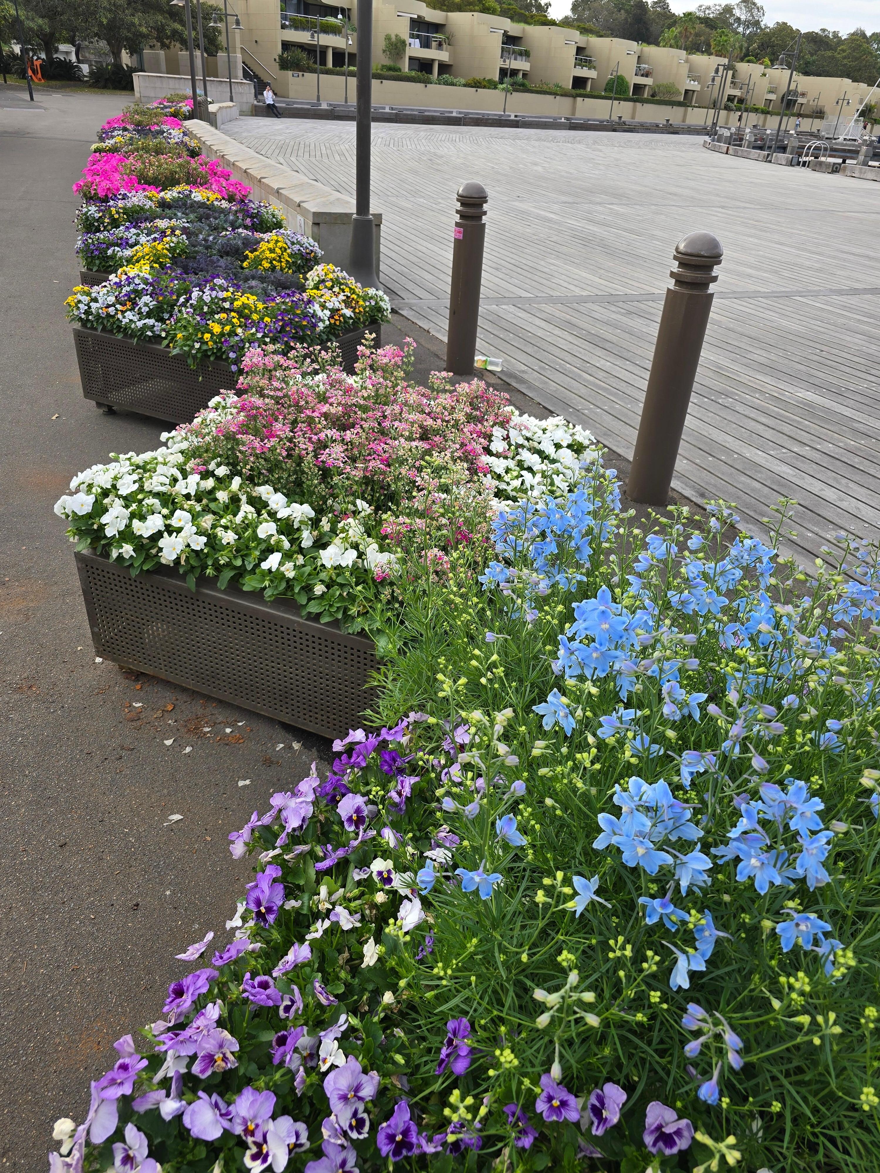 Flower beds outside the apartment. 
