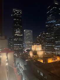 Roof top has excellent views of the city