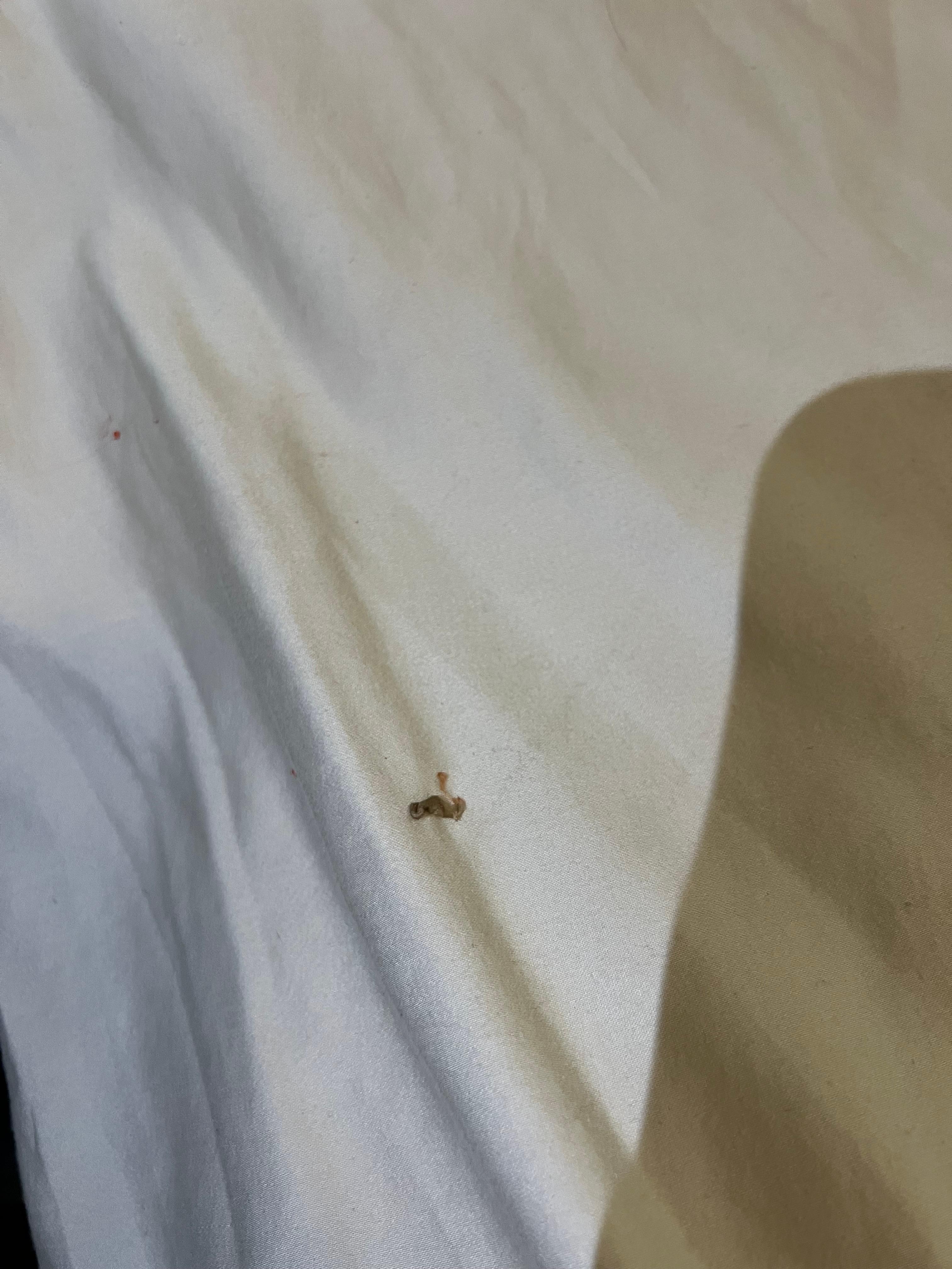 Bloody booger in sheets! 