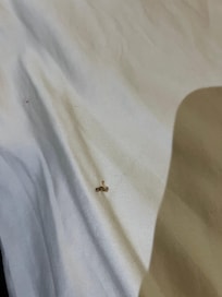 Bloody booger in sheets!