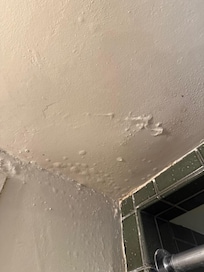 Ceiling above shower