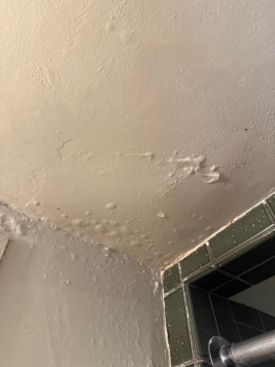 Ceiling above shower