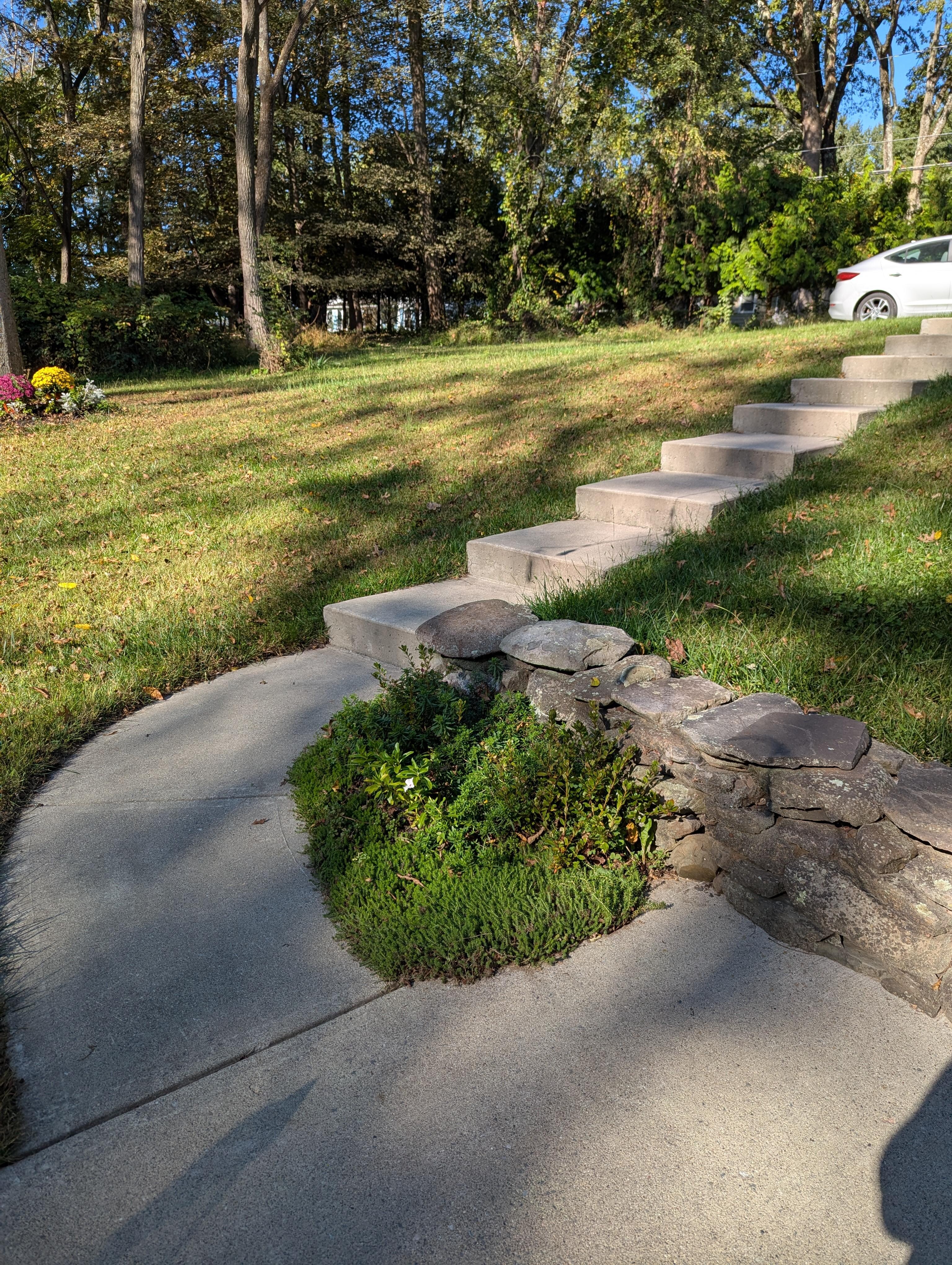 Walkway from driveway