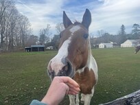 Some friendly neighbors!