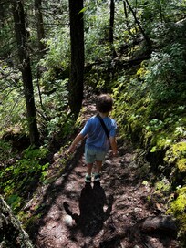 Cox trail.