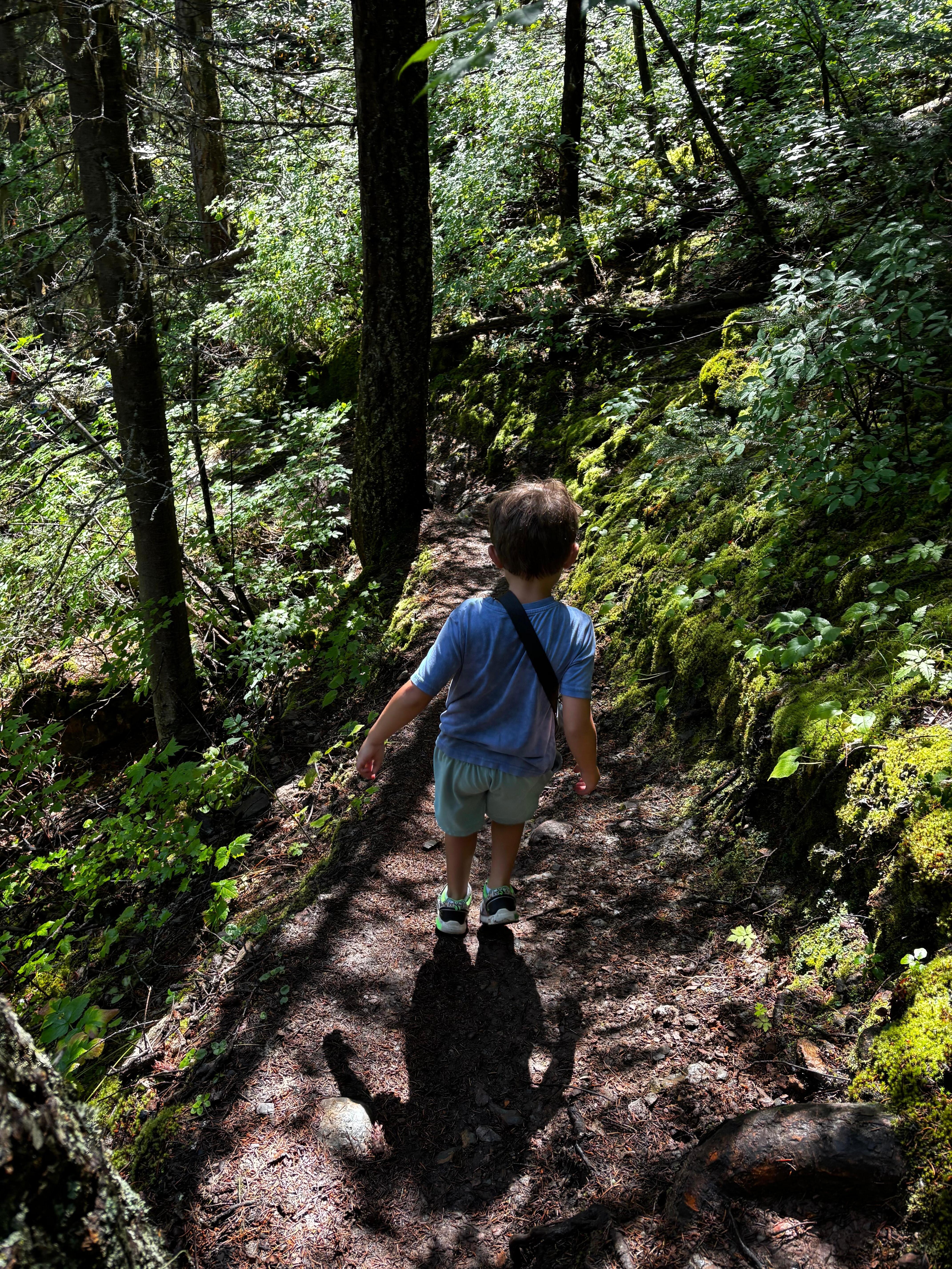 Cox trail. 