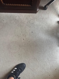 Alfombra manchada