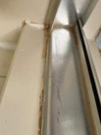 Mold & Mildew in shower