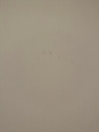 Handprint above toilet