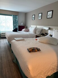 Beds are really high but Queen size and clean and comfy