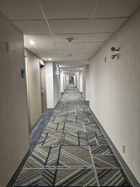 Hallway 6 my room