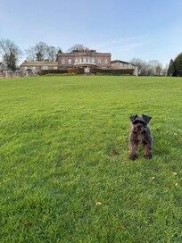 Someone like the location a lot