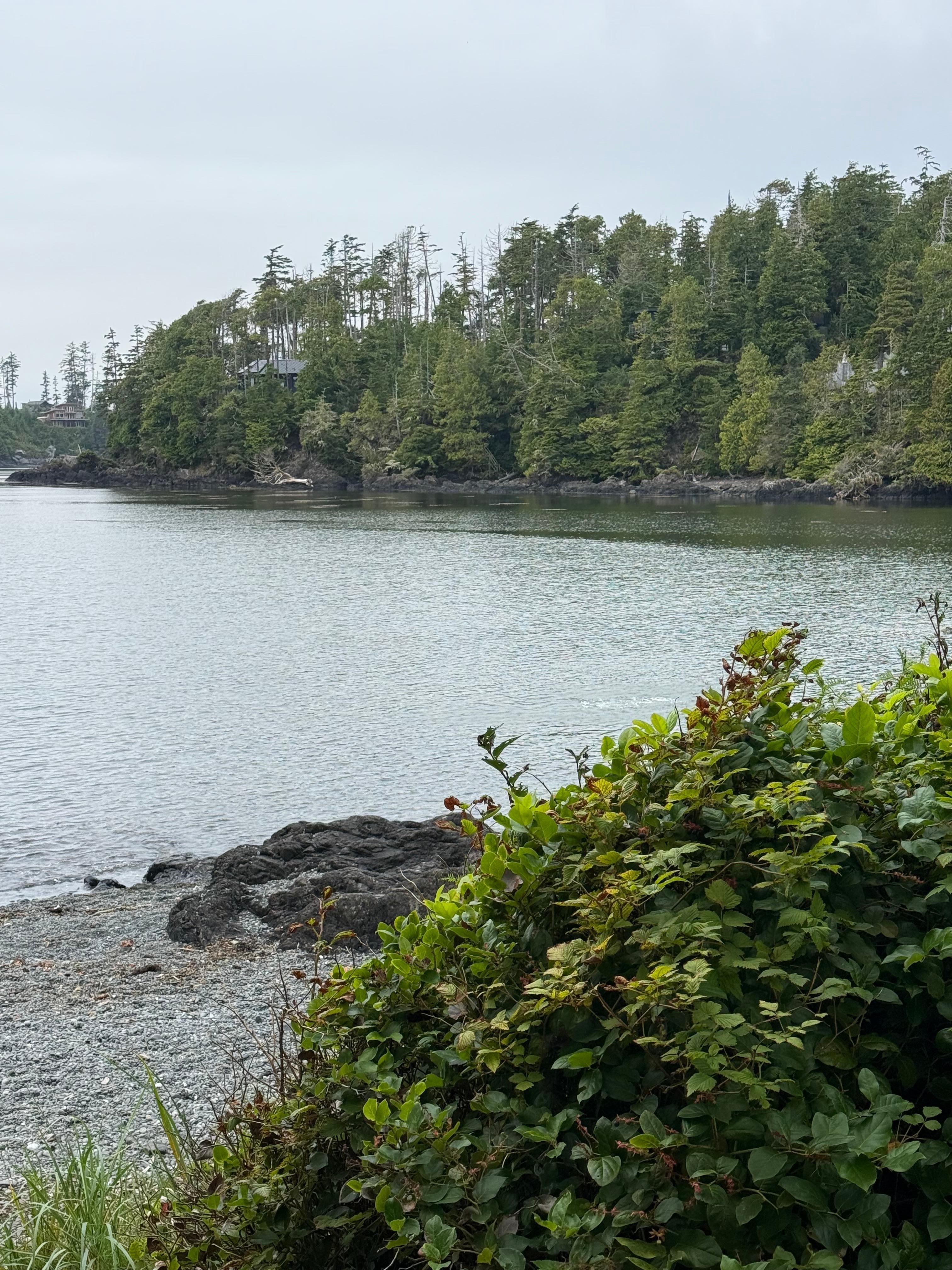 A view from the outside area 