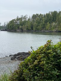 A view from the outside area
