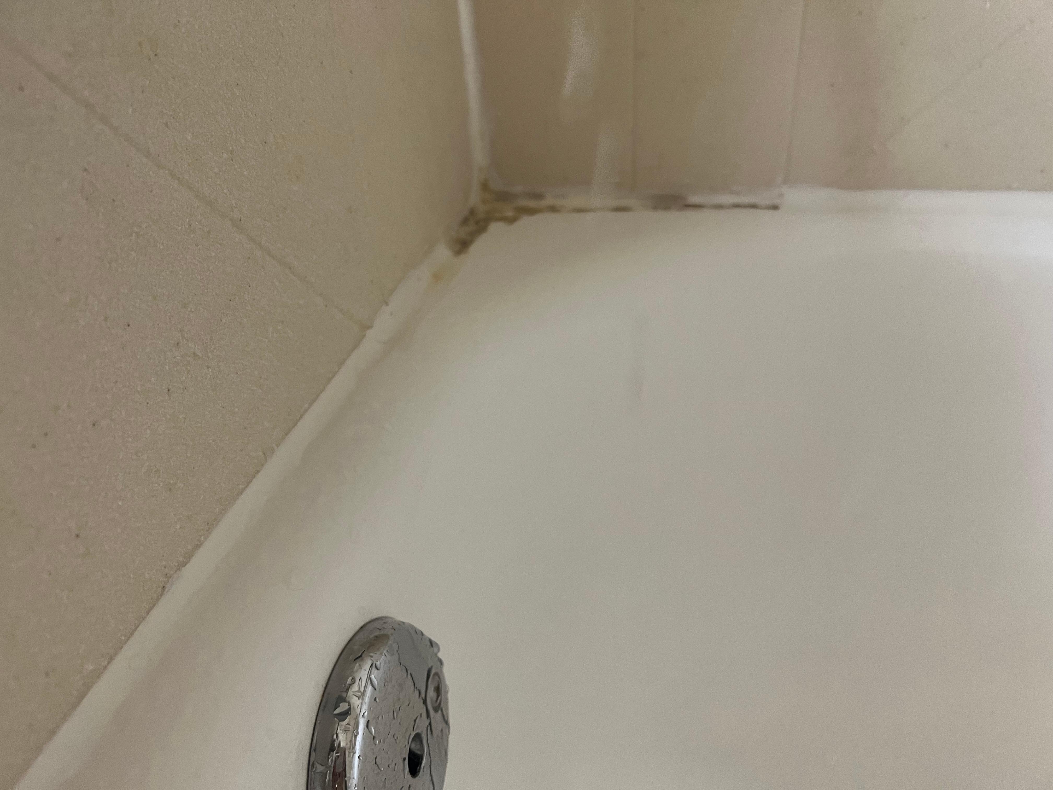 Mildew and dirt