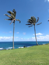 View from the back porch.