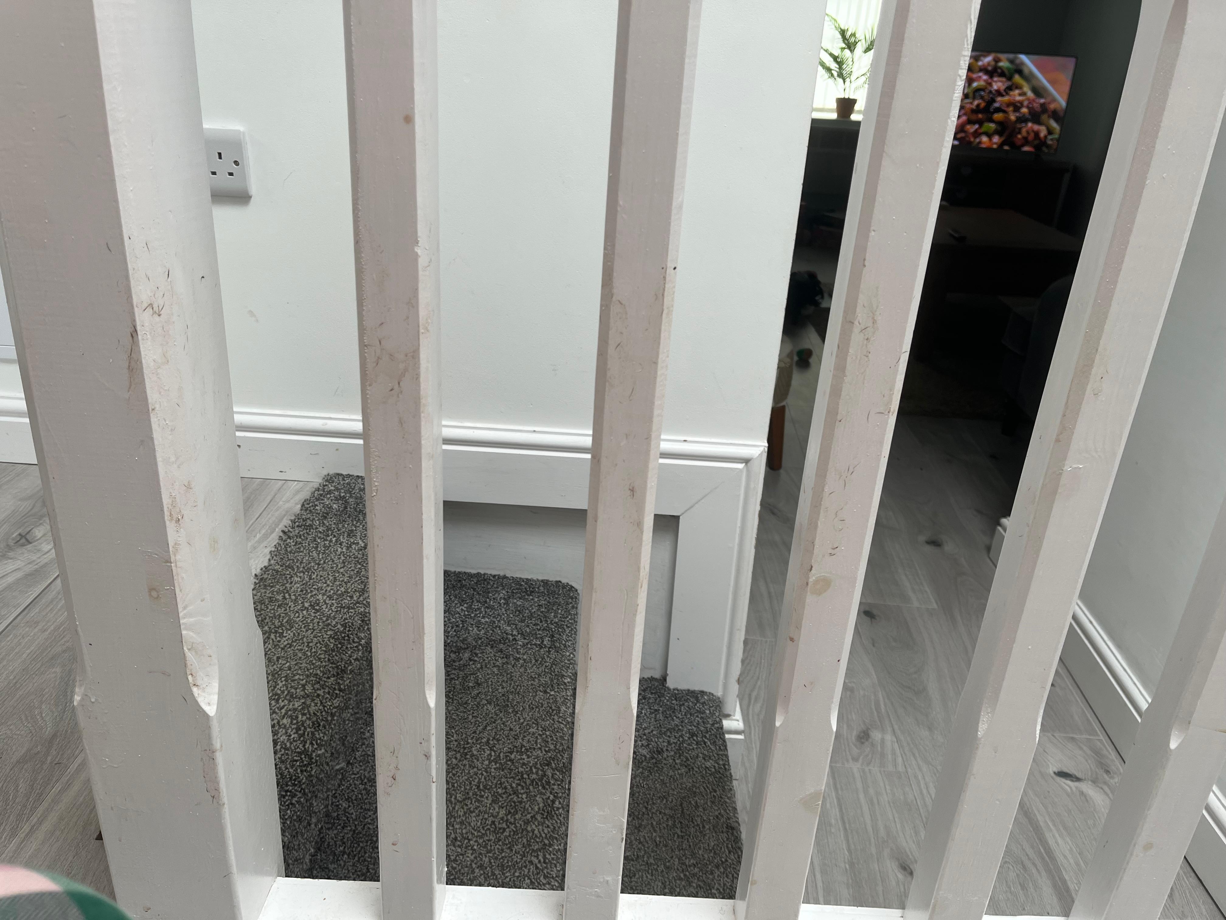 All this needs is a wipe down