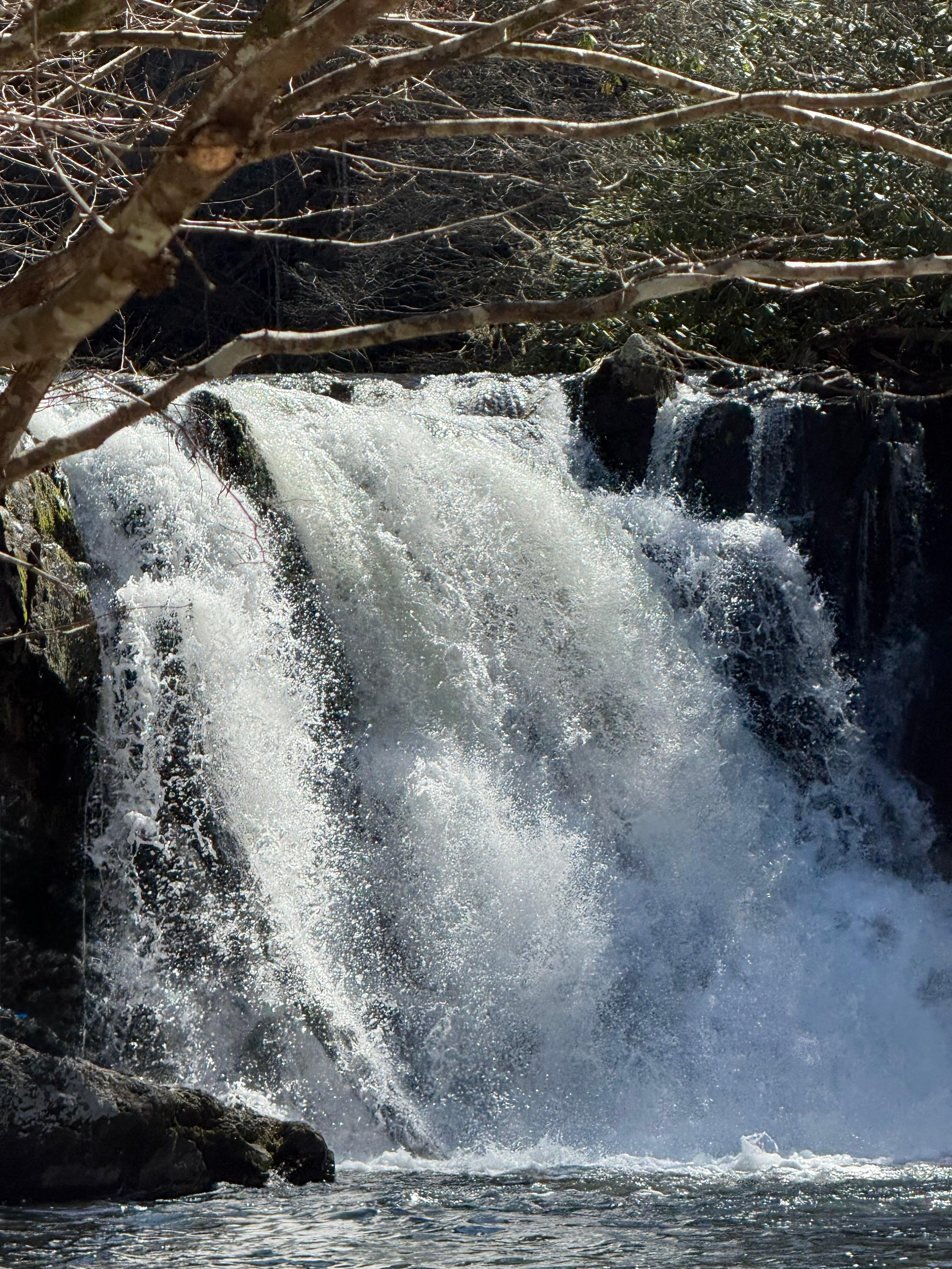 Abrahm’s trail Great Smokey Mountain National Park 
