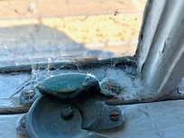 Spider web and dirt in the window.