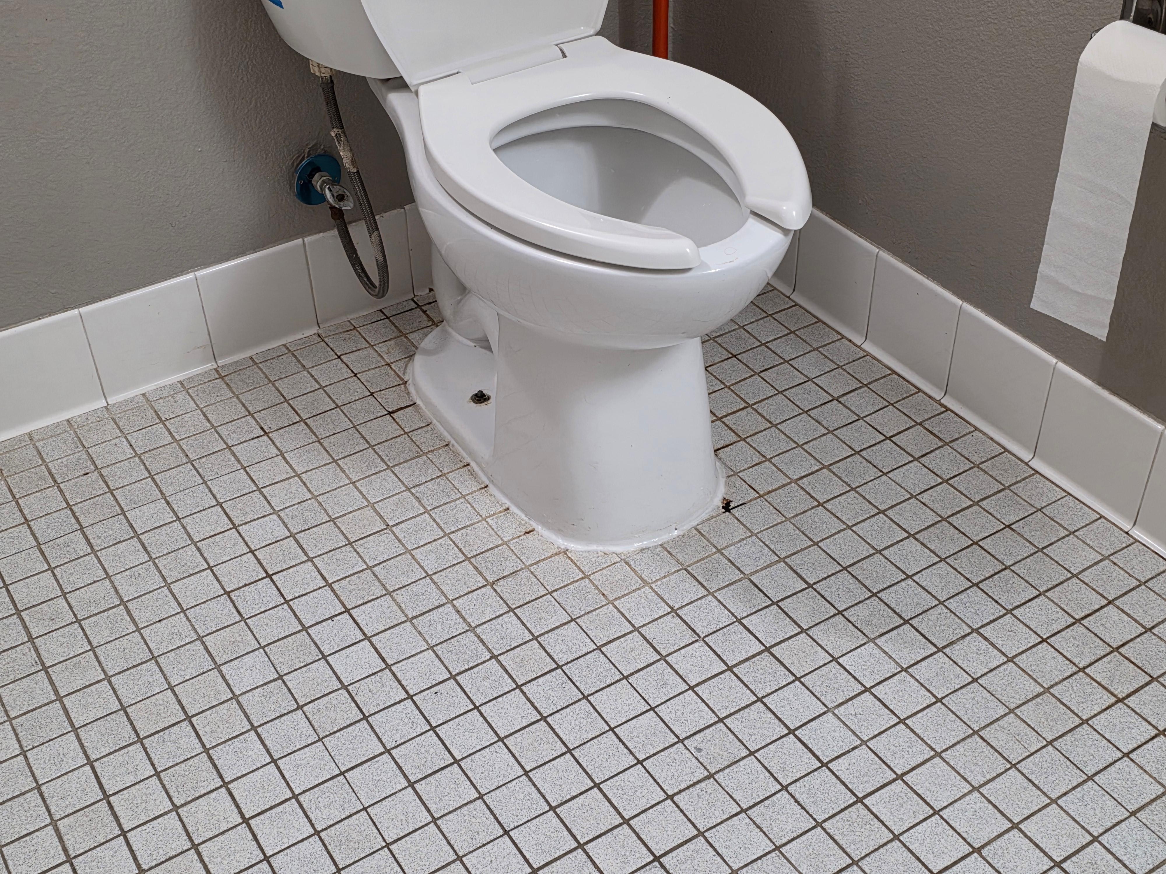 Gross around toilet, leaking