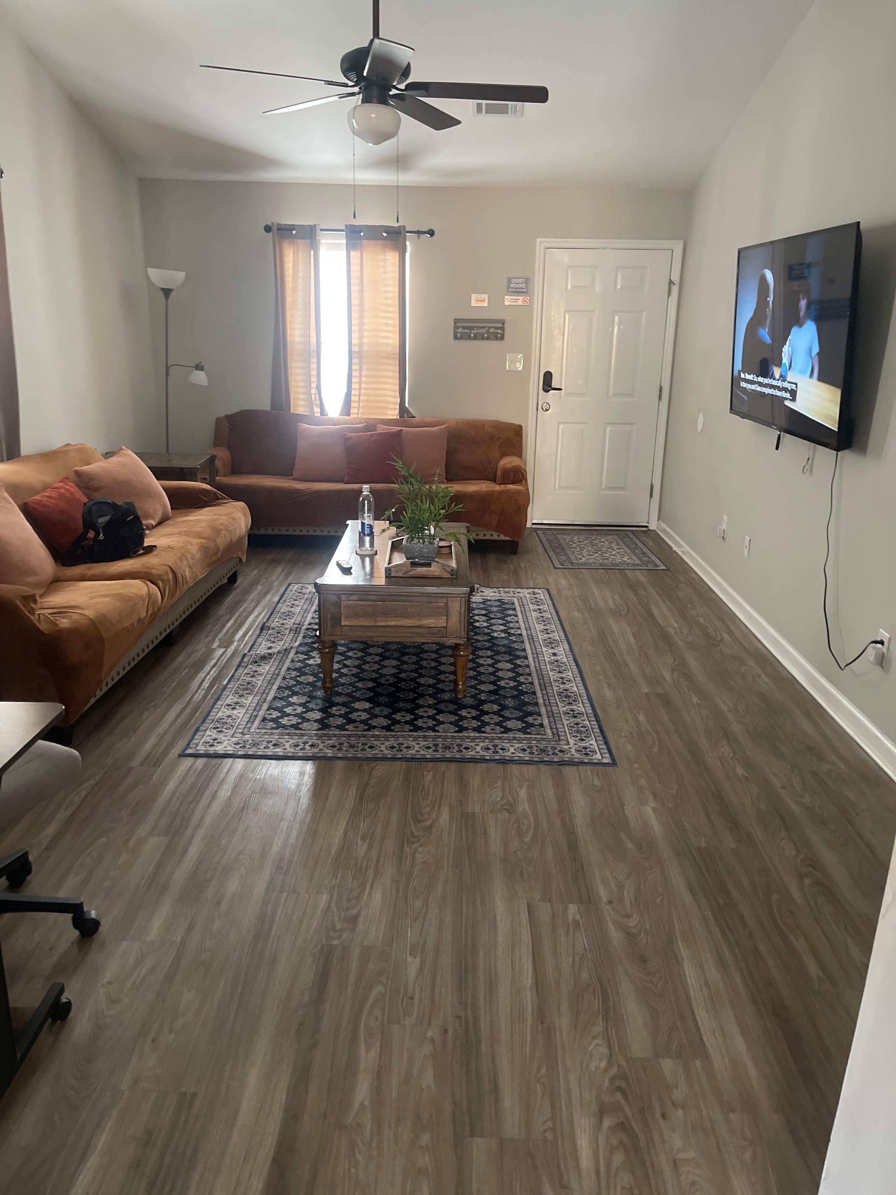 Entrance/ living room 