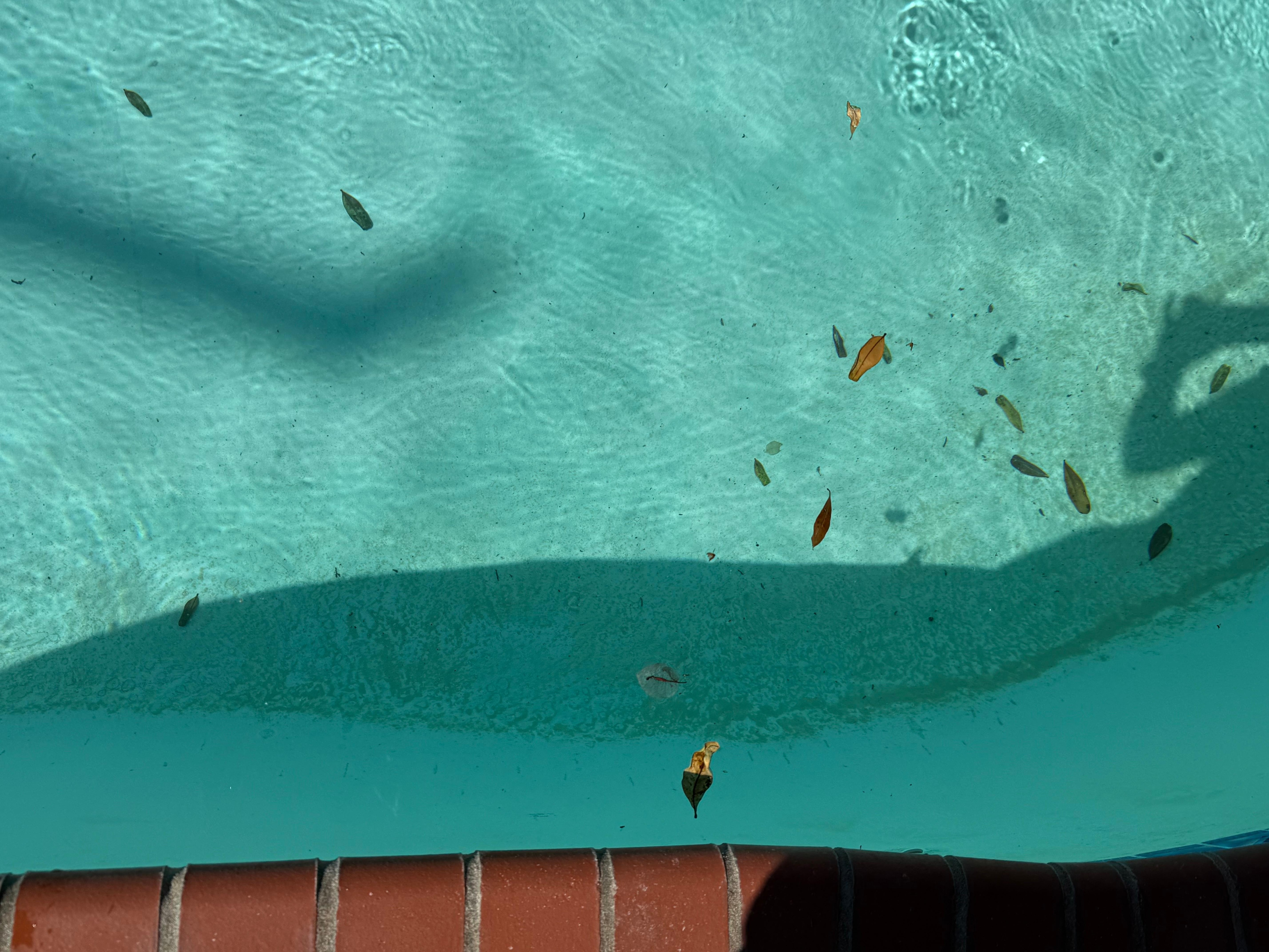 Dirty pool after Tuesday’s cleaning.