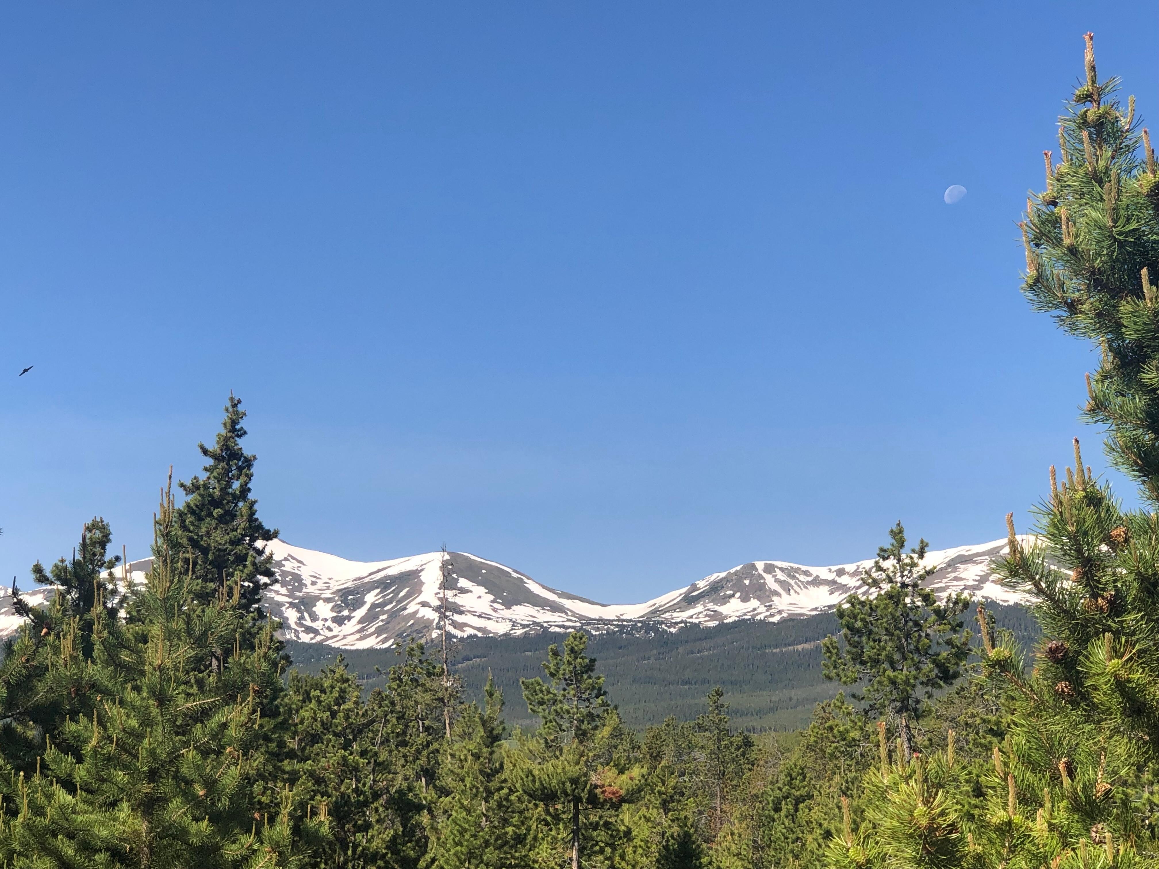 View from master
