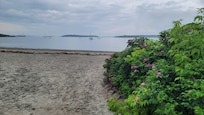 Willard Beach steps away