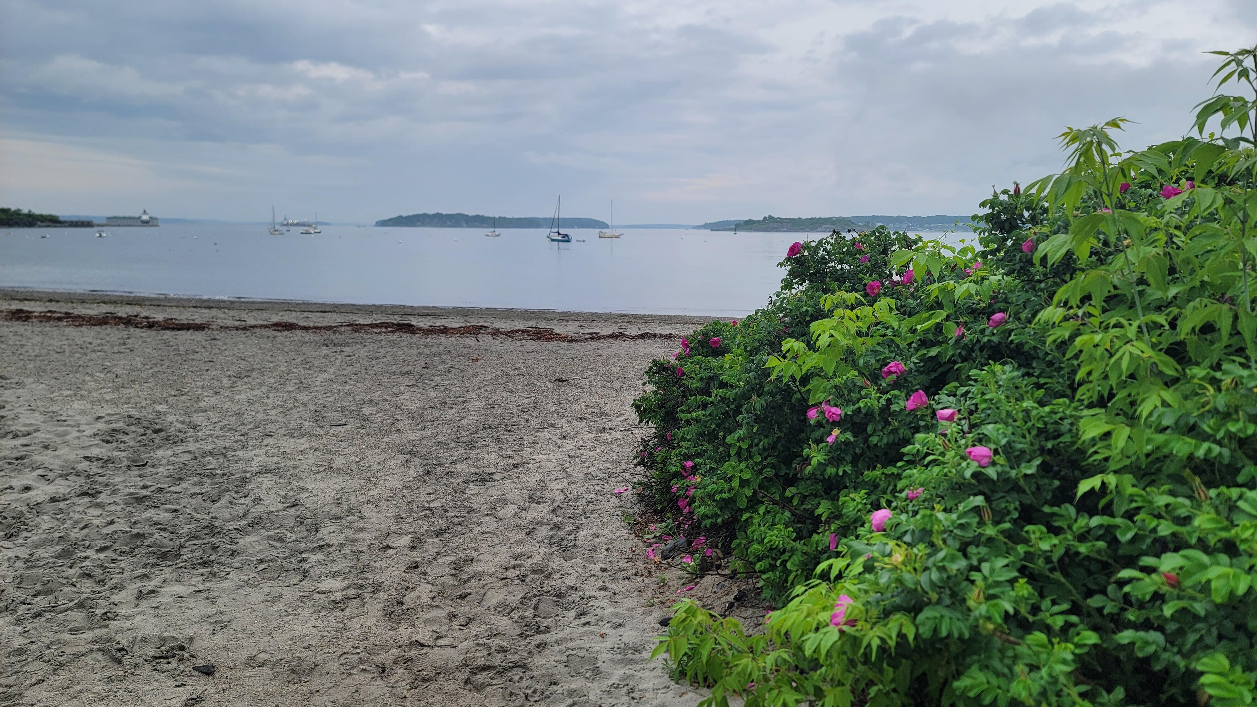 Willard Beach steps away