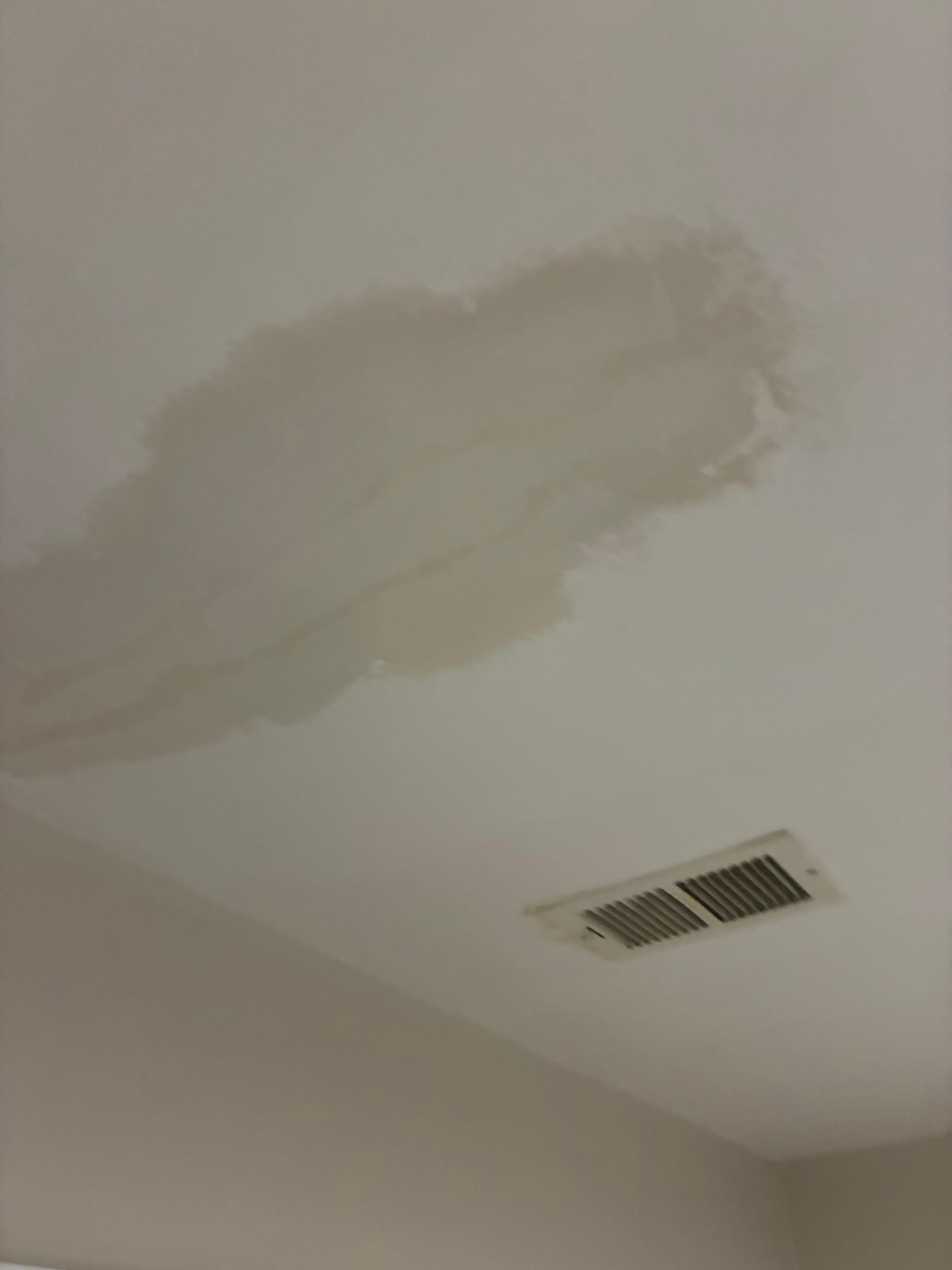 Patched unpainted ceiling 