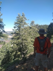 Grand canyon, north rim