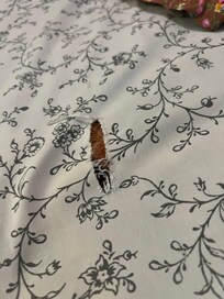 Blanket Ripped