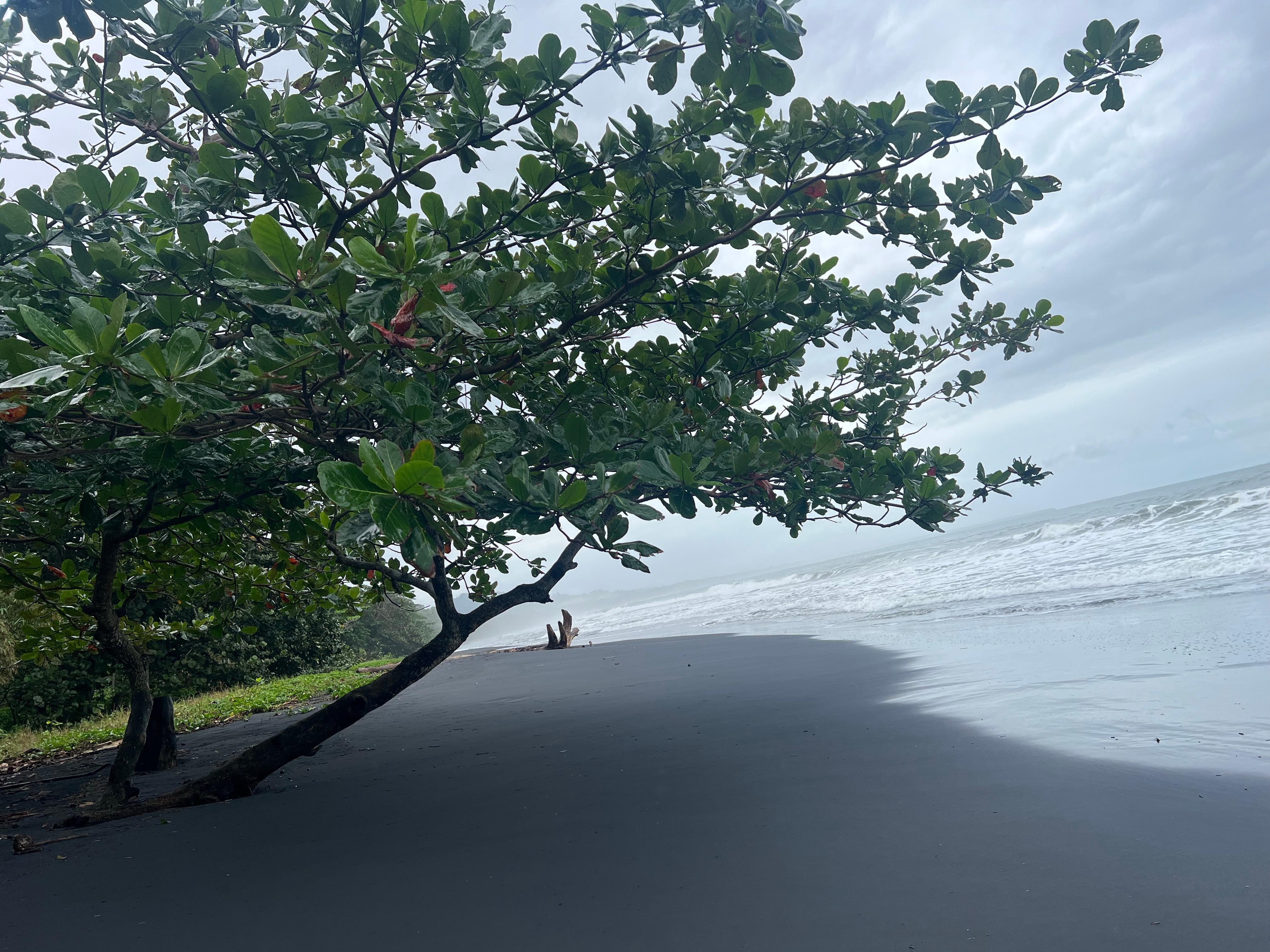 Nearby Black Beach (Playa Negra)