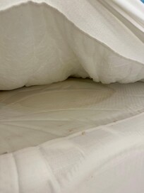 Urine was soaked into the mattress.