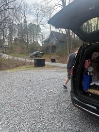 The bear is on the road.